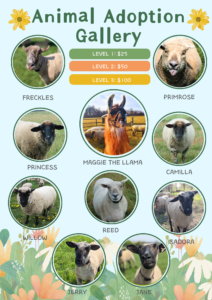 Small circle images of each of our nine sheep and llama.